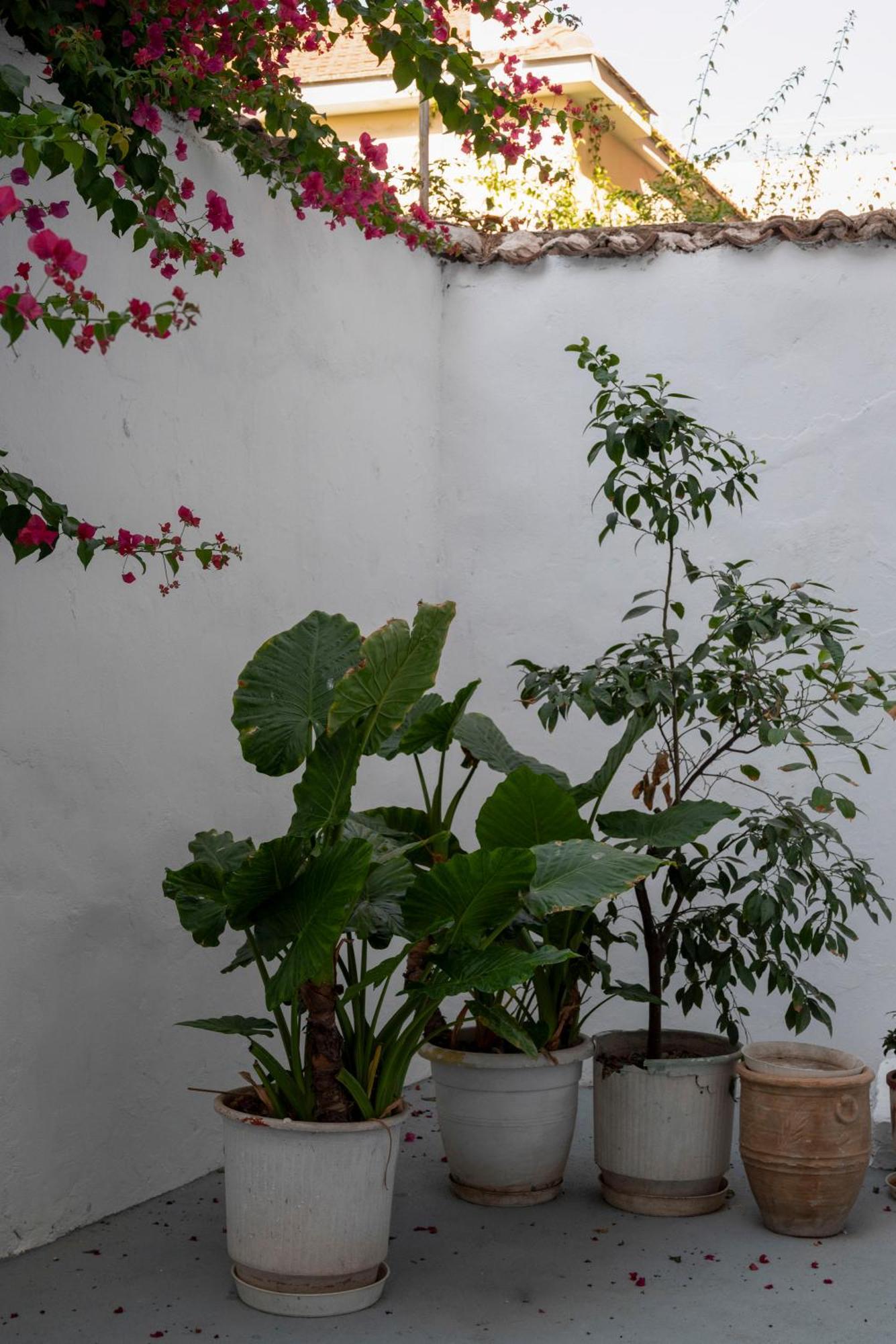 Thissio Getaway 2Ba Next To Athens Ancient Market Exterior foto