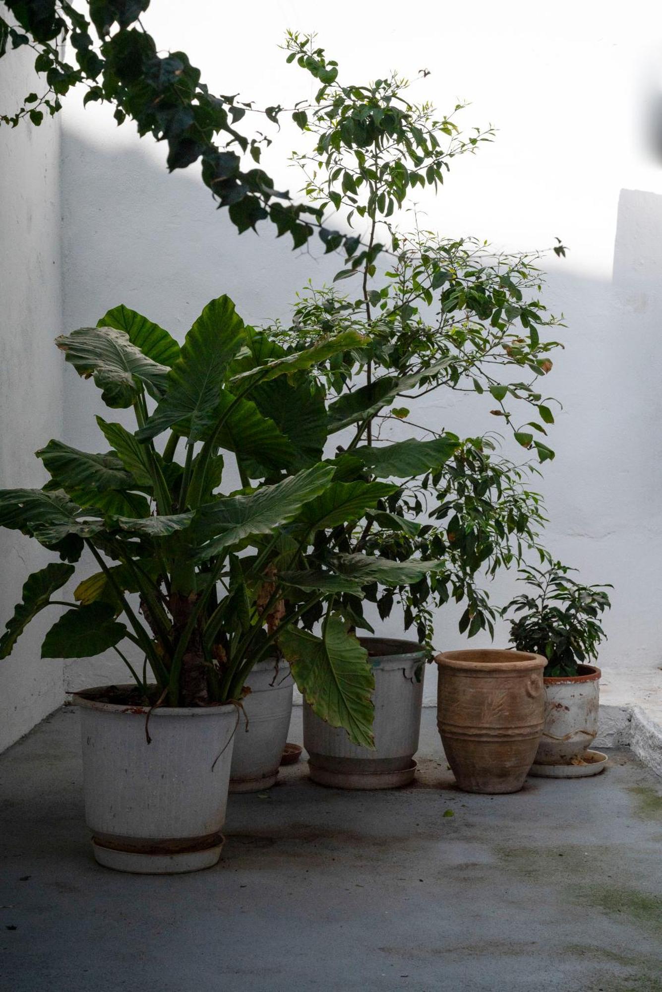 Thissio Getaway 2Ba Next To Athens Ancient Market Exterior foto